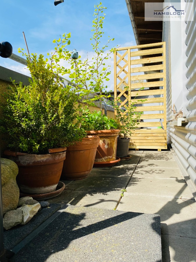 Ausschnitt Dachterrasse Terrassenwohnung K�ln