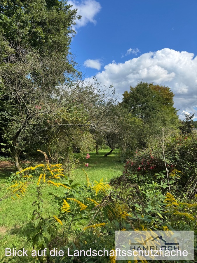 Landschaftsschutzfl�che Wohngrundst�ck Bergisch Gladbach