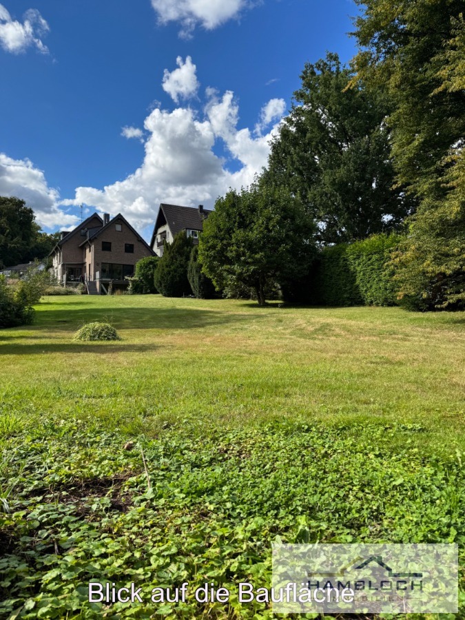 Blick auf die Baufl�che Wohngrundst�ck Bergisch Gladbach