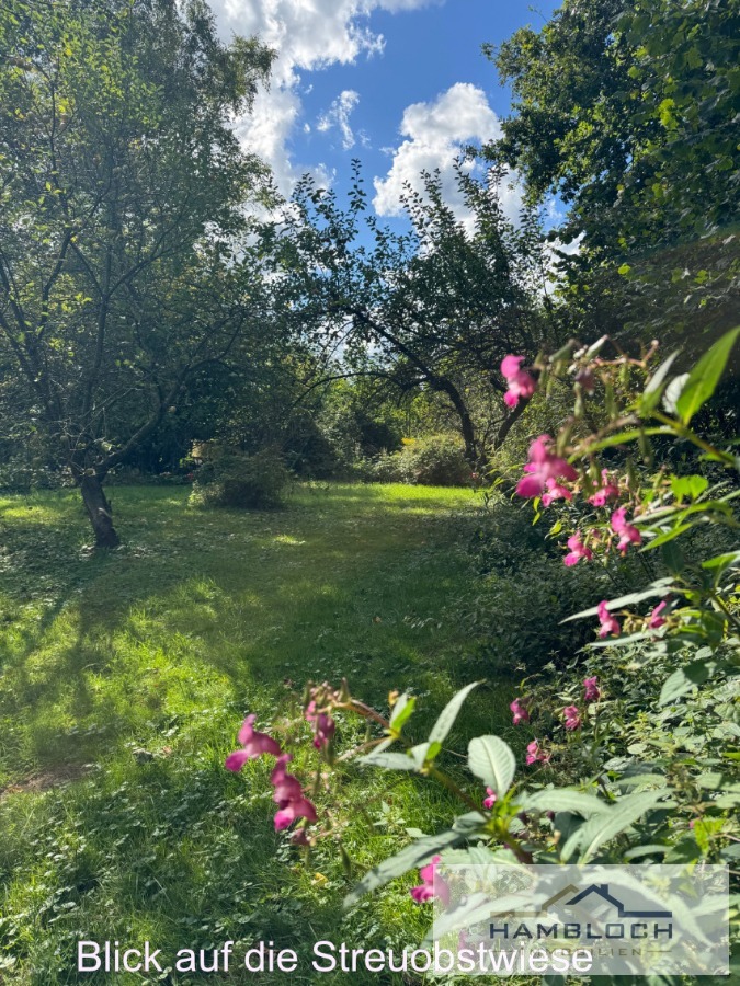 Blick auf die Streuobstwiese Wohngrundst�ck Bergisch Gladbach