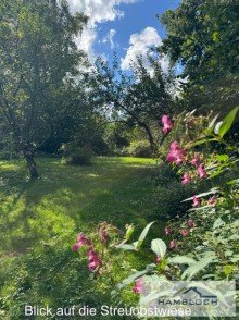 Blick auf die Streuobstwiese Die Basis f�r Ihr Traumhaus ? stilvolles Grundst�ck in gefragter Lage
